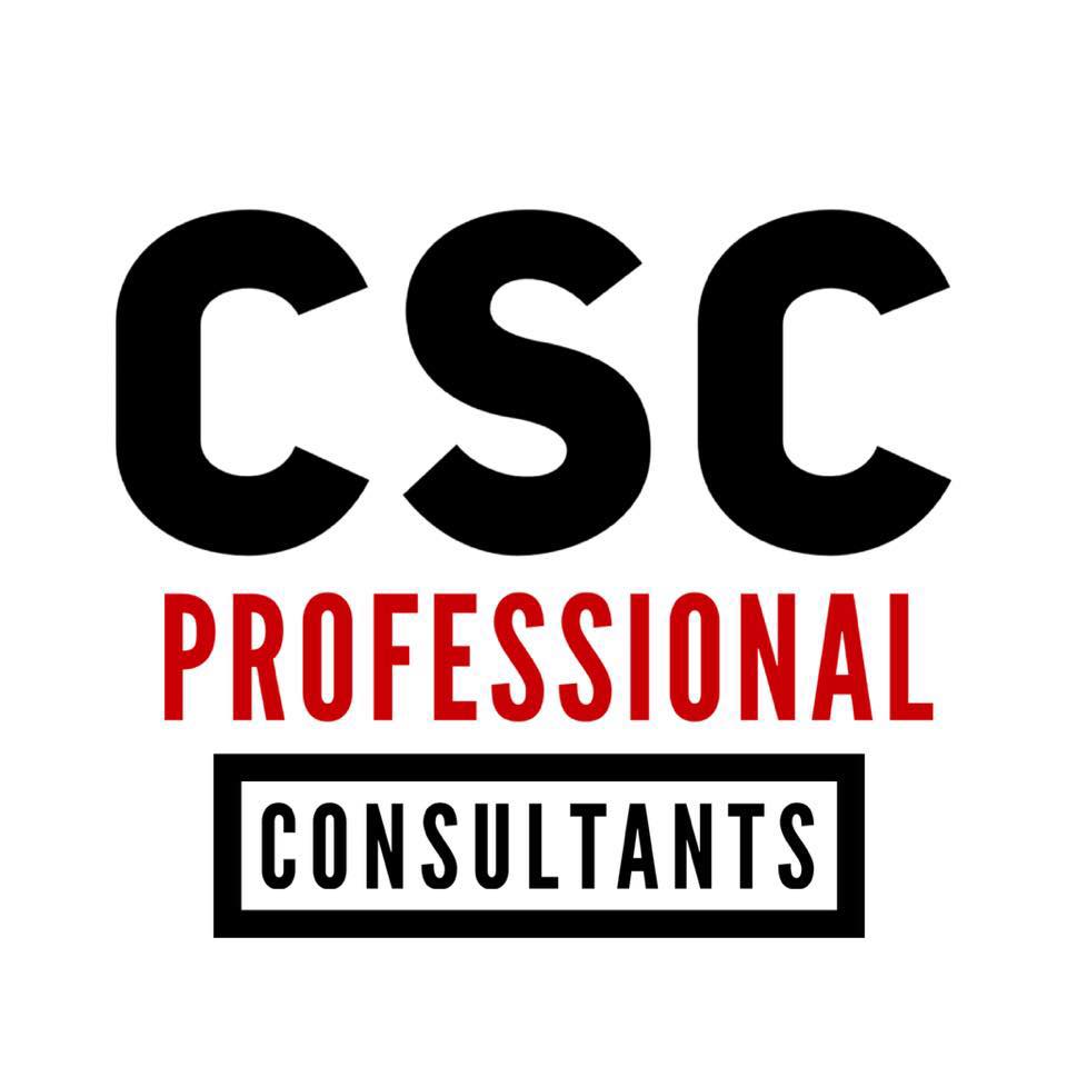 CSC Professional Consultants LLC | Minneapolis MN