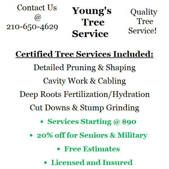 Young's Tree Service | Windcrest TX