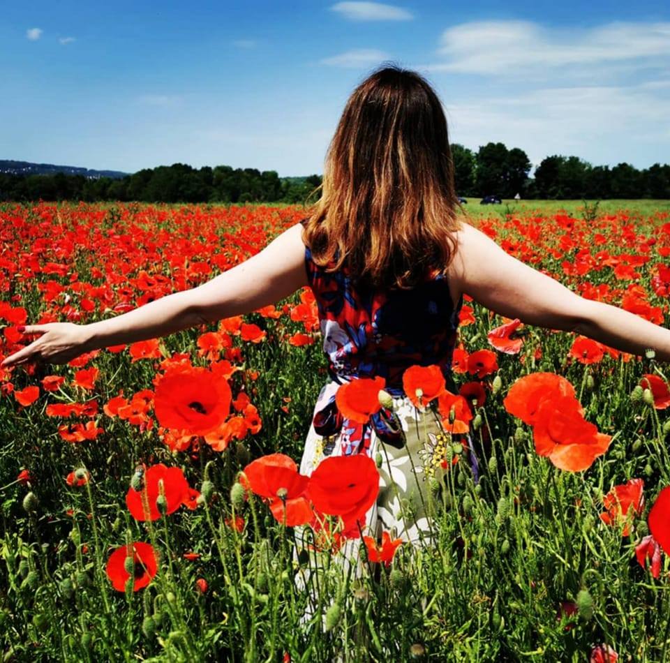 Horaires Des Séances Du Film Poppy Field