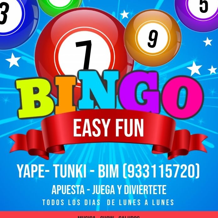 Bingo EASY fun