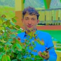 new bazam 2026 | Shina new song