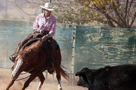 𝘿𝙪𝙨𝙩 - LeAnn Hart, wife of rodeo champion JW Hart, in the final moments ...