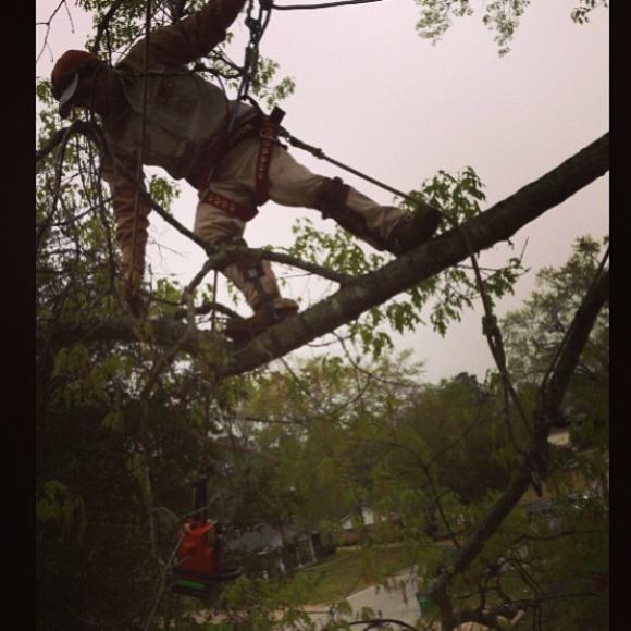 Ponder Tree Service | Henderson TX