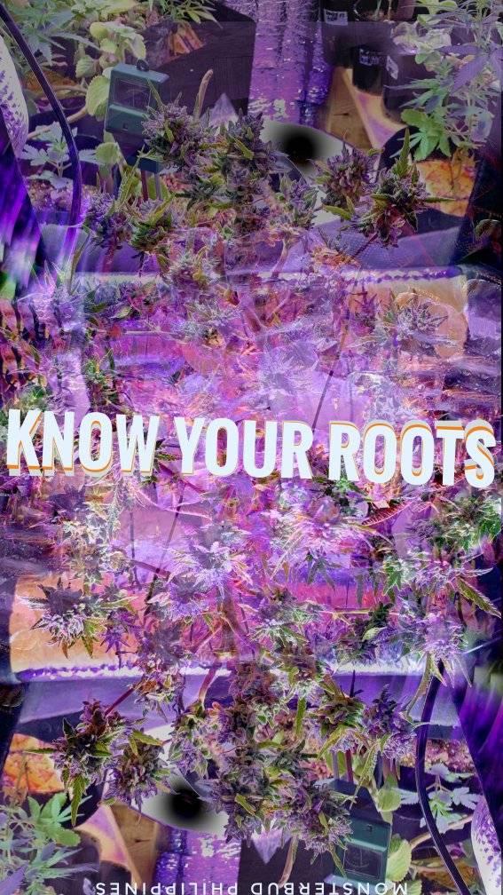 Know Your Roots