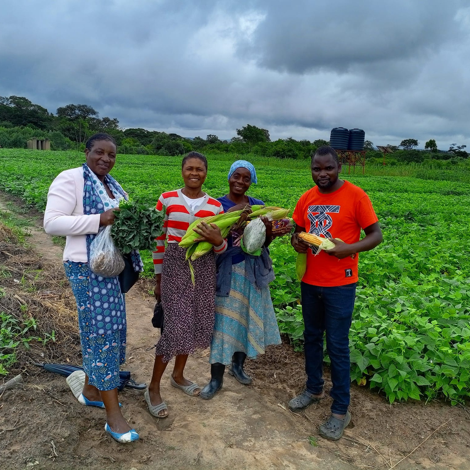 Mr Magweni from Forestry Commission Zimbabwe demostrates how to plant ...