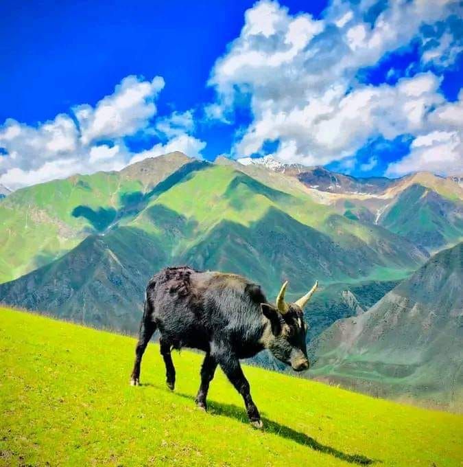 Beauty of Gilgit Baltistan
