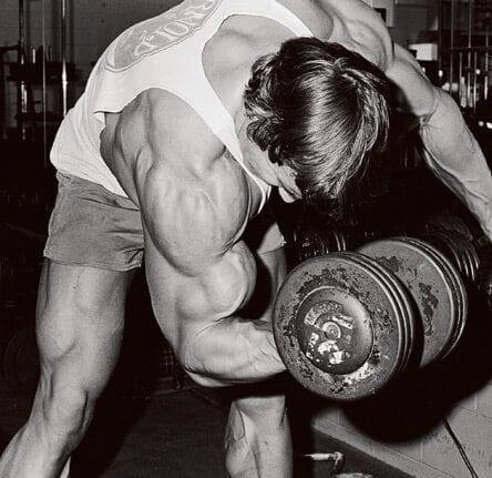Gymnacity