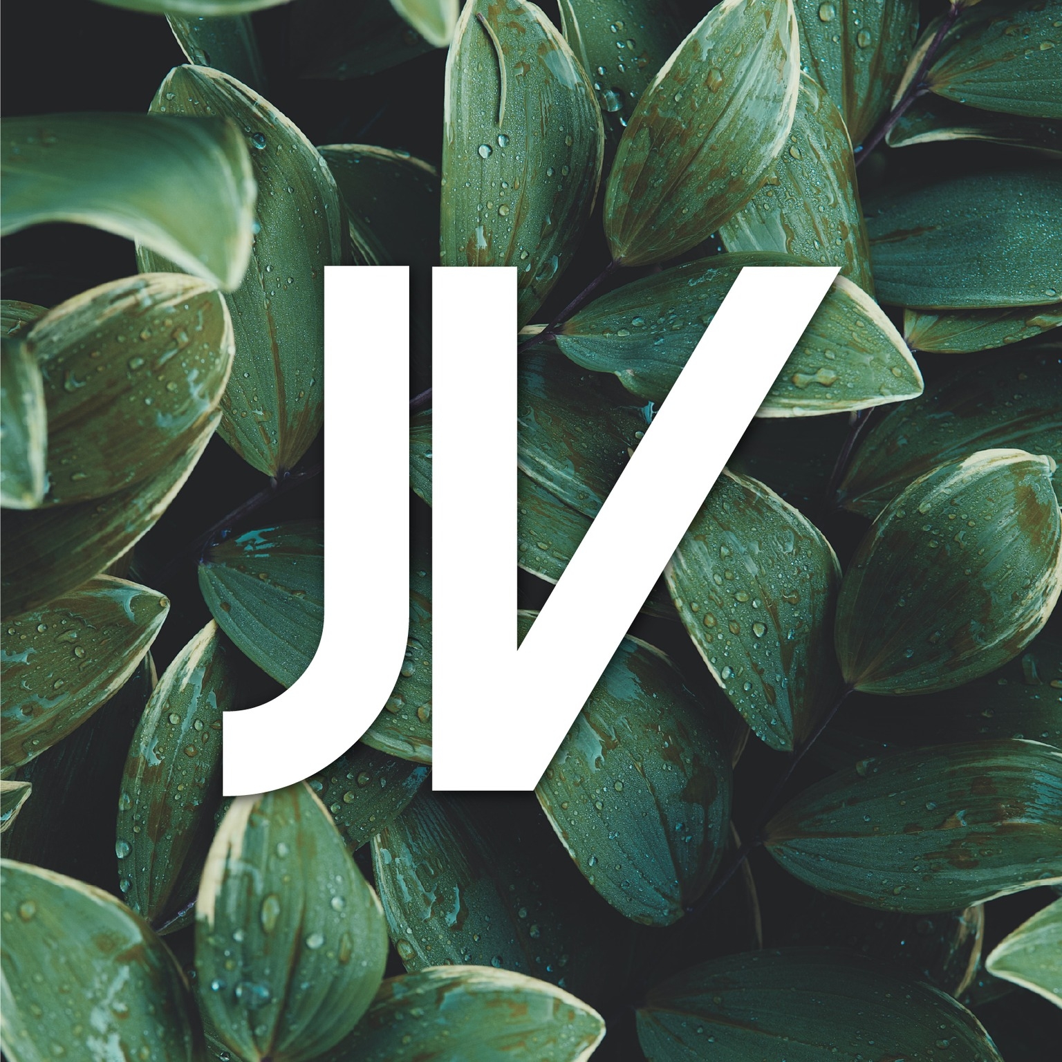 JVisual