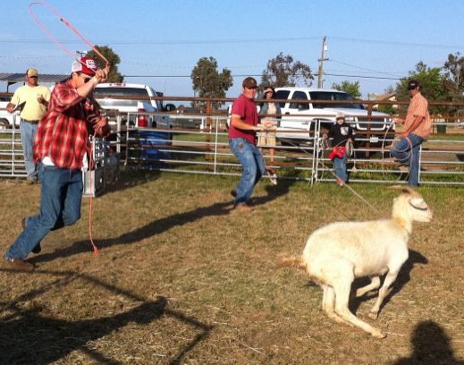 Goat Roping | Stanislaus CA