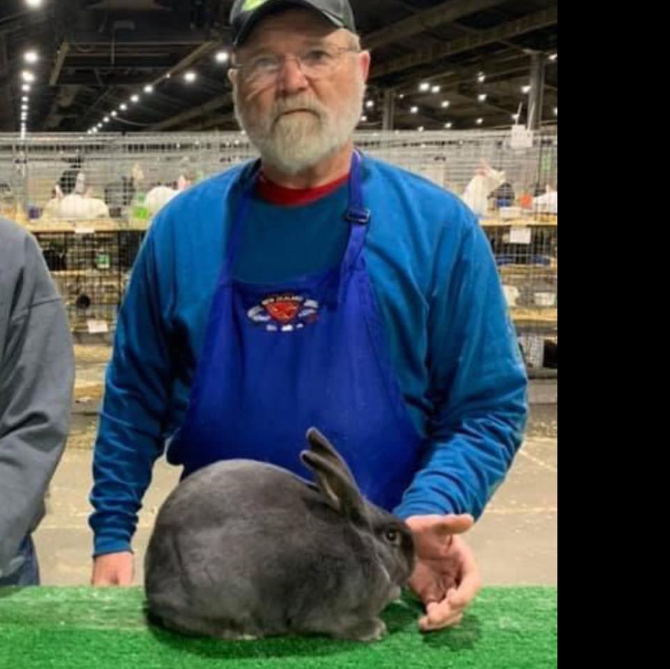 Cooper Creek Rabbits