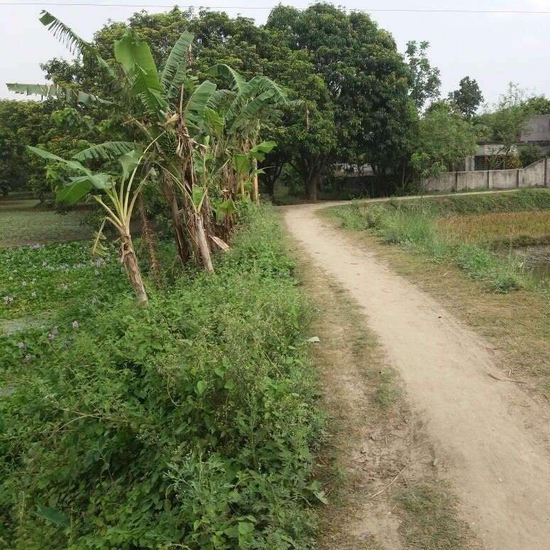 Gochor গোচর গ্রাম | Rajshahi