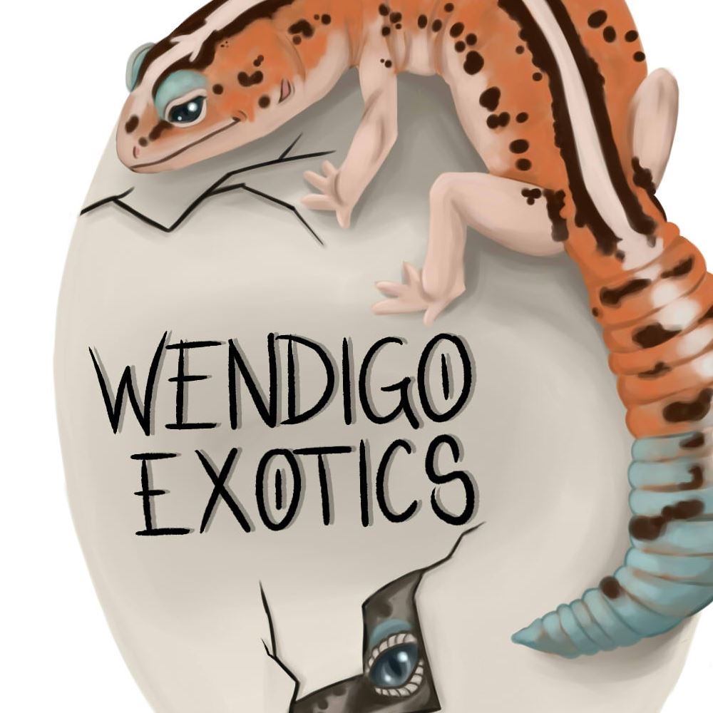 Toothless-Geckos