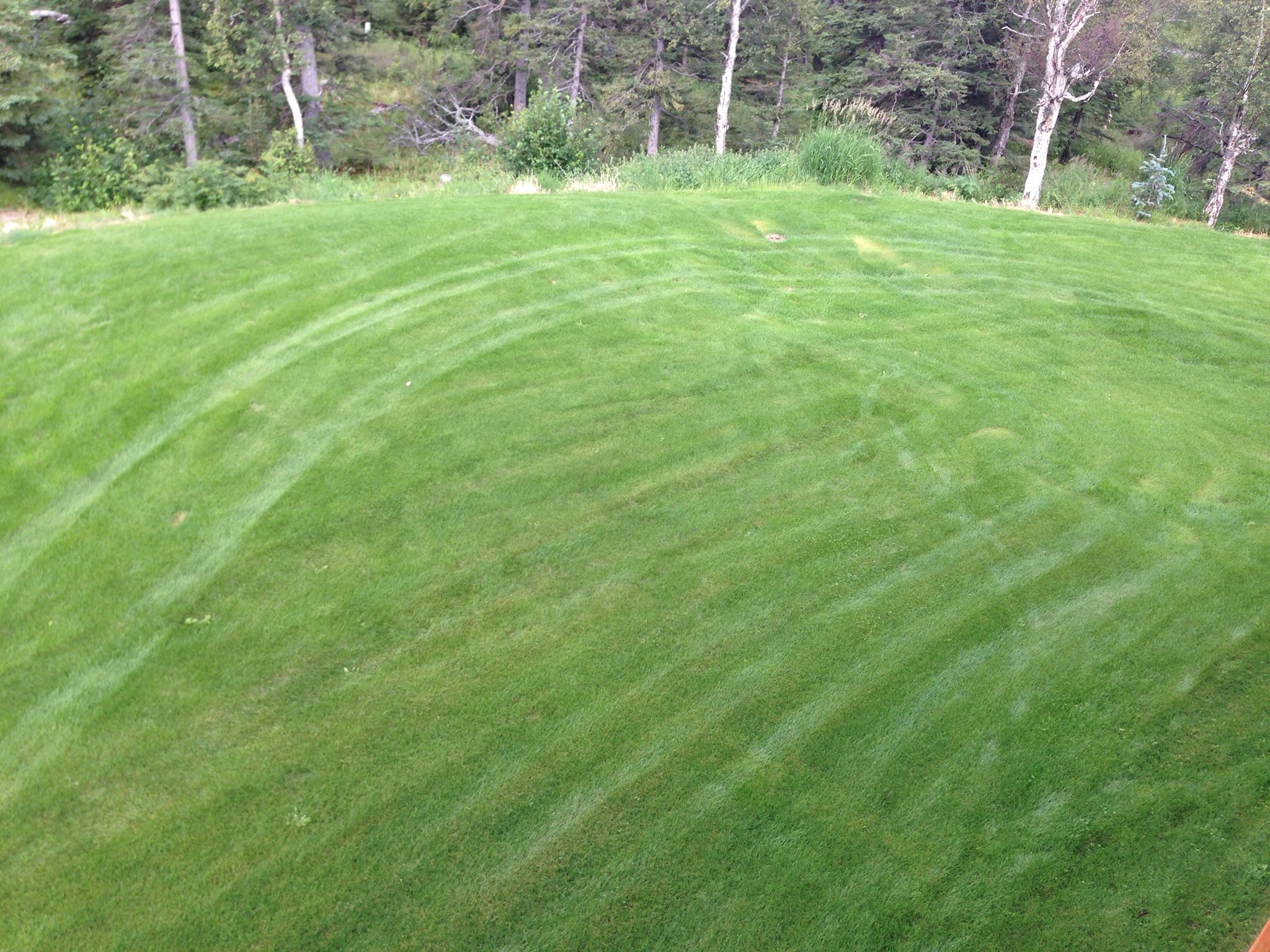 Professional Landscaping & Snow Removal Services | Anchorage AK