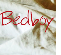 Bedboy - codziennik seksualny