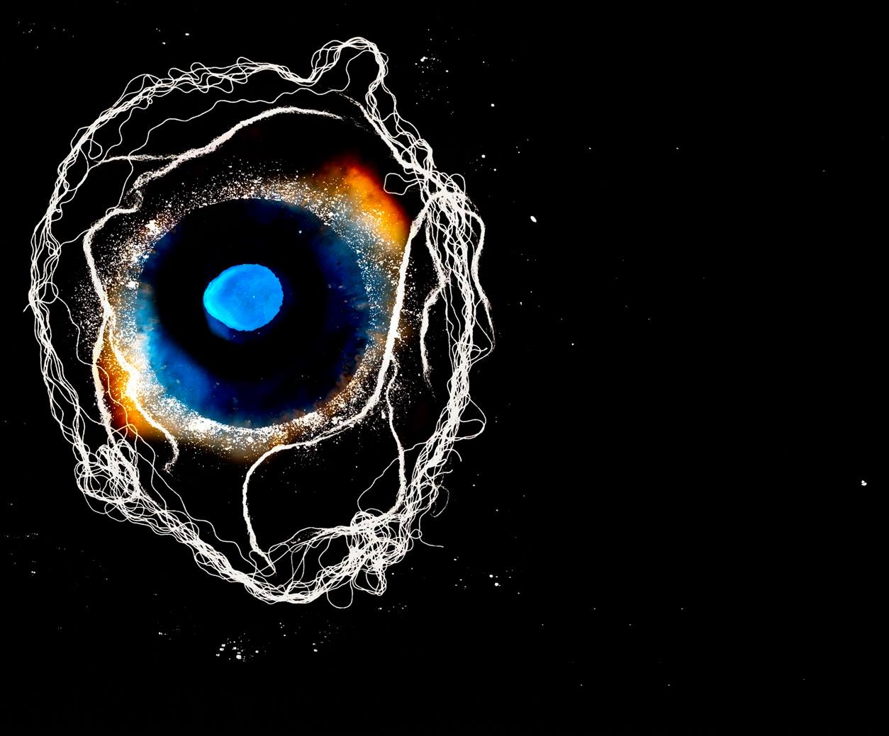The Eye's Mind - a study of the visual imagination | Exeter