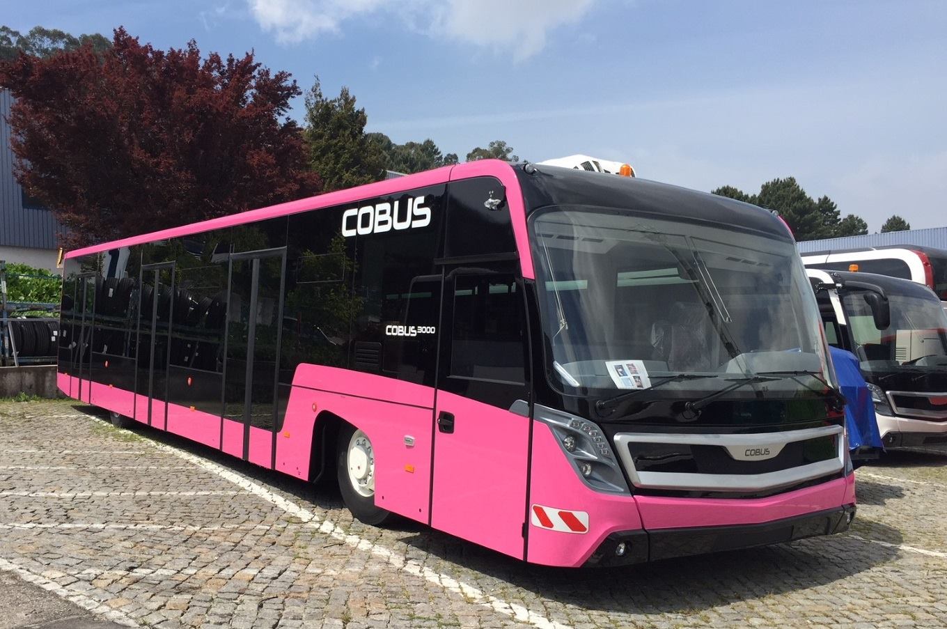 Cobus Memes Cobus Snyman | Spotify