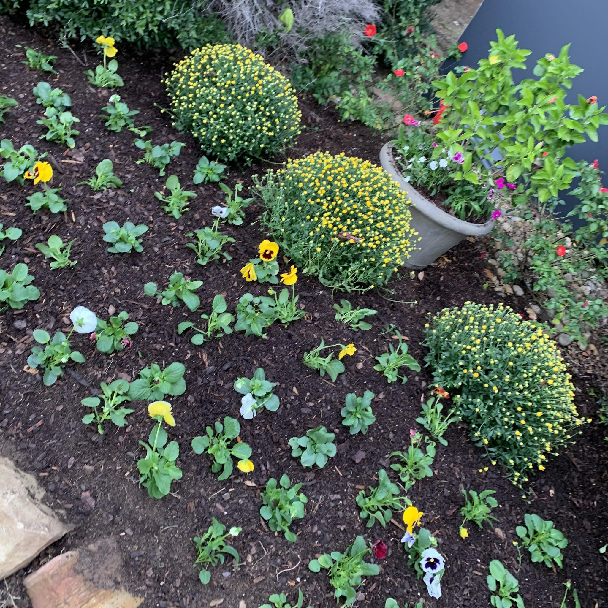 Friends Who Like Gravely Commercial Lawn Mowers | Left the key on on my ...