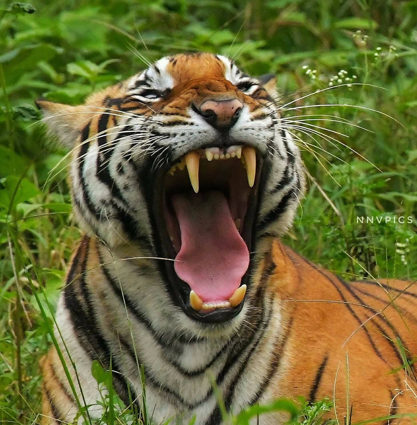 Beautiful & Scary in World