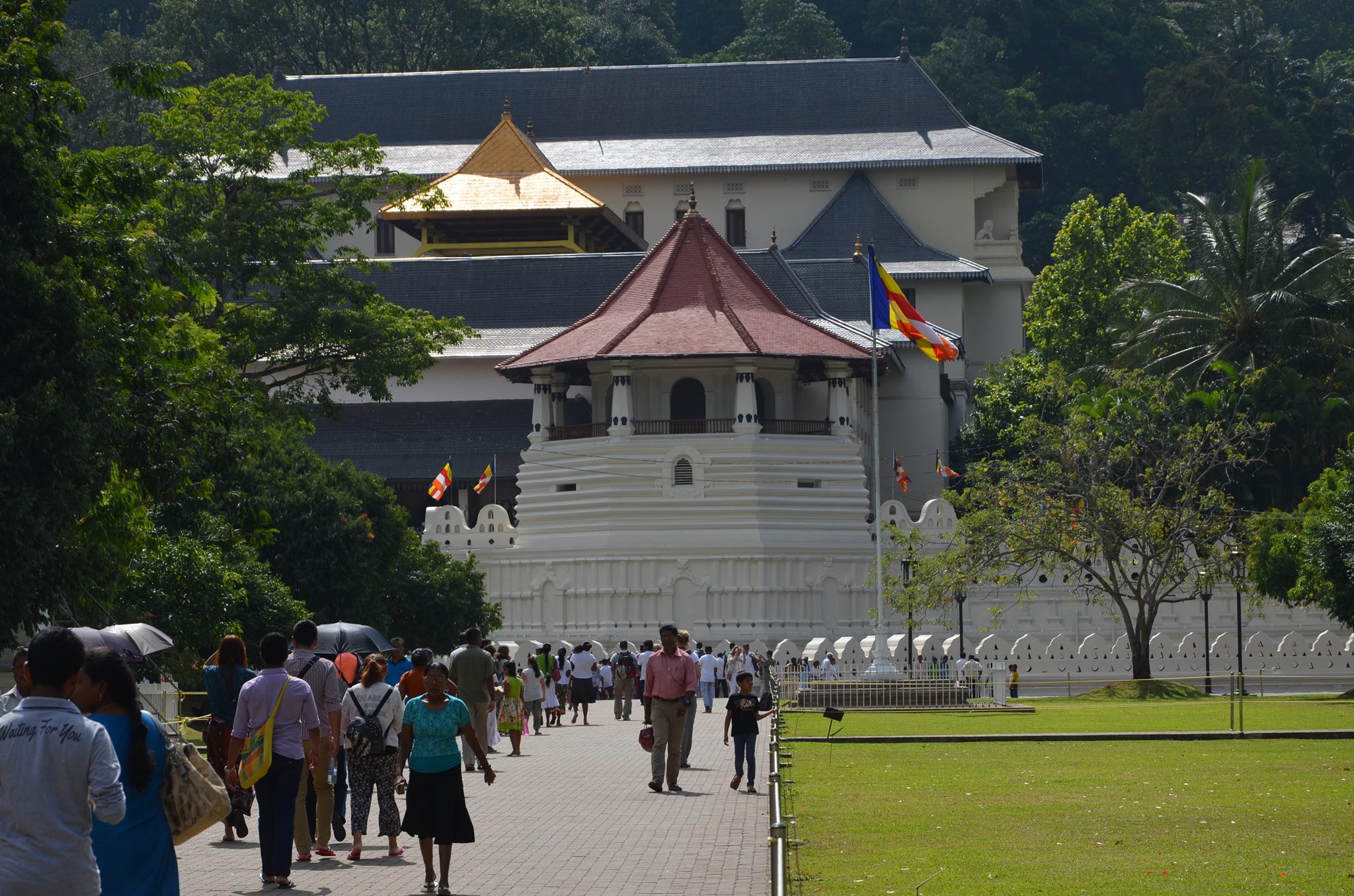 Api Kandy