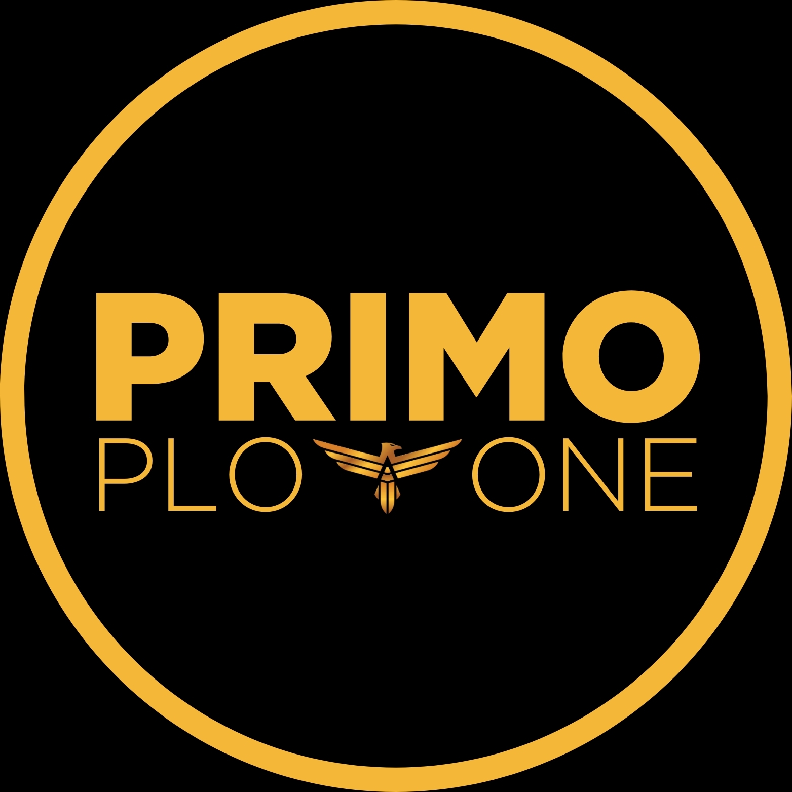 Primo Plotone - “Sembra sempre impossibile finché non viene fatto.” # ...