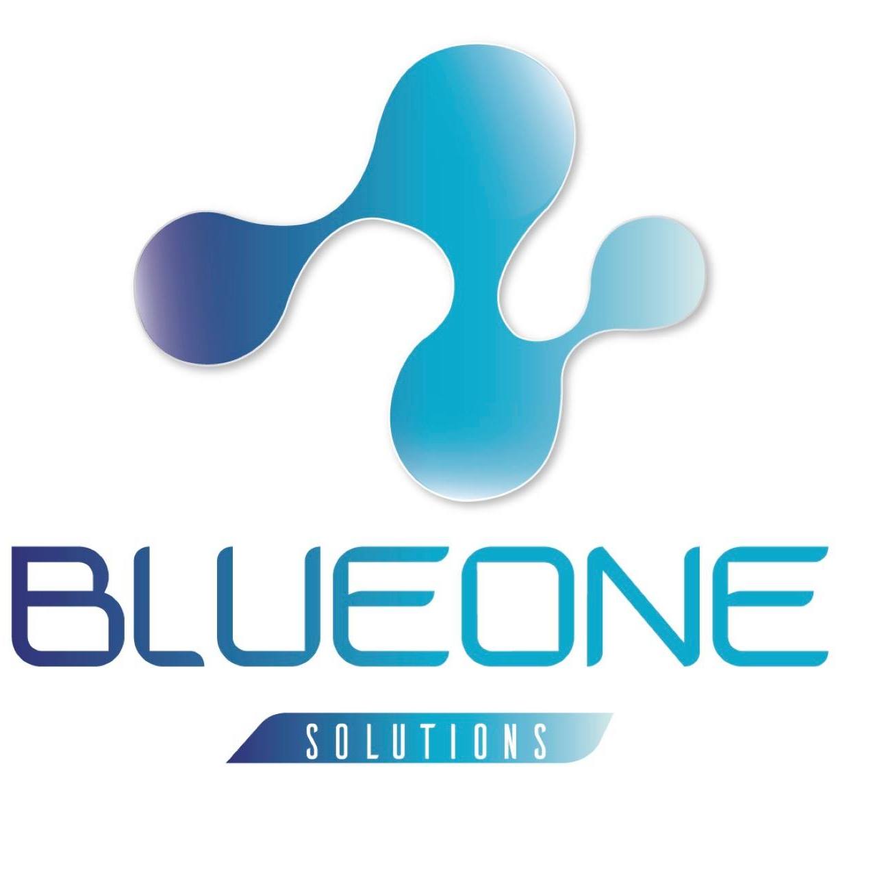 Blue One Solutions LLC | Miami FL