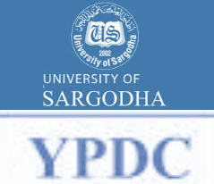 Young Peace & Development Corps - YPDC