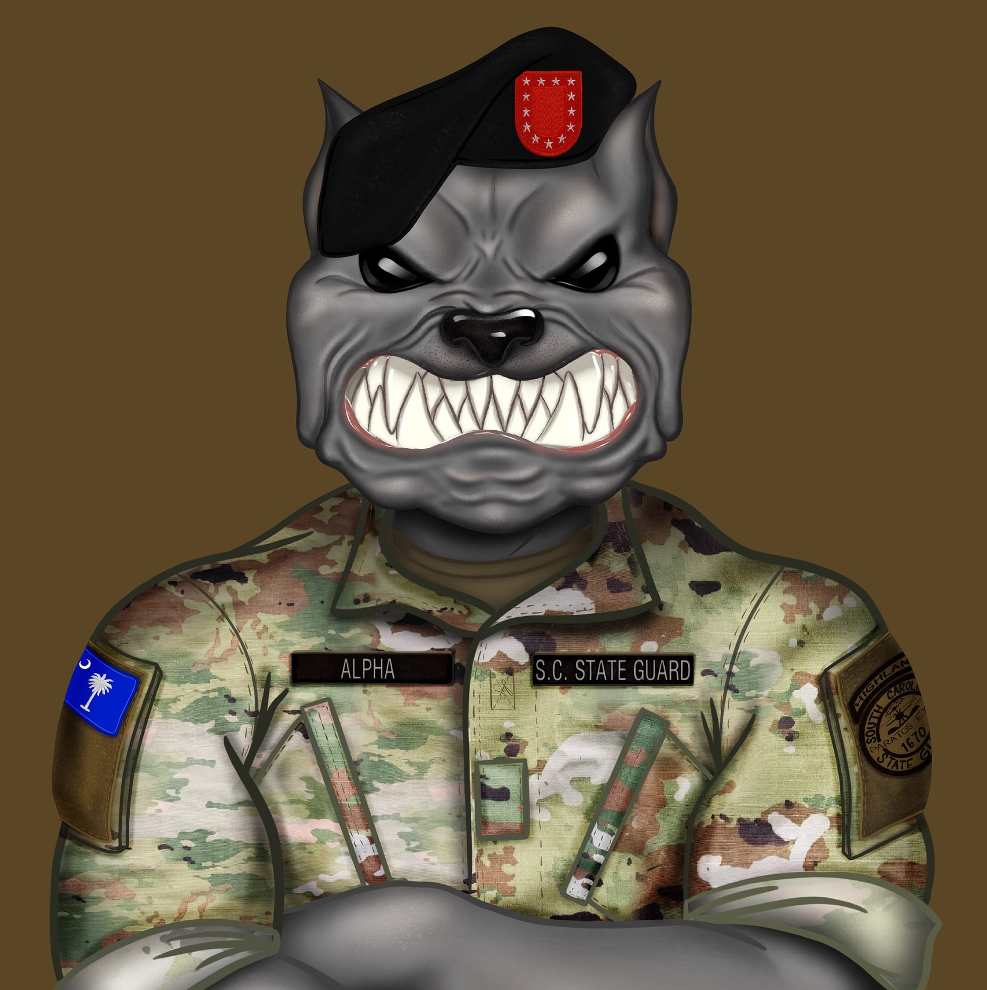 HA(L) 3 US NAVY SEAWOLVES | Cmdr Robert Redman | Facebook