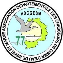 FDC 77