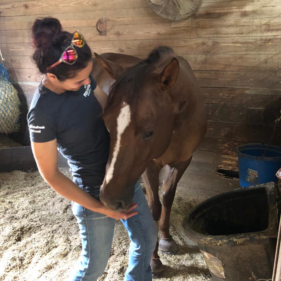 Ruby Ranch and Farm Sitting
