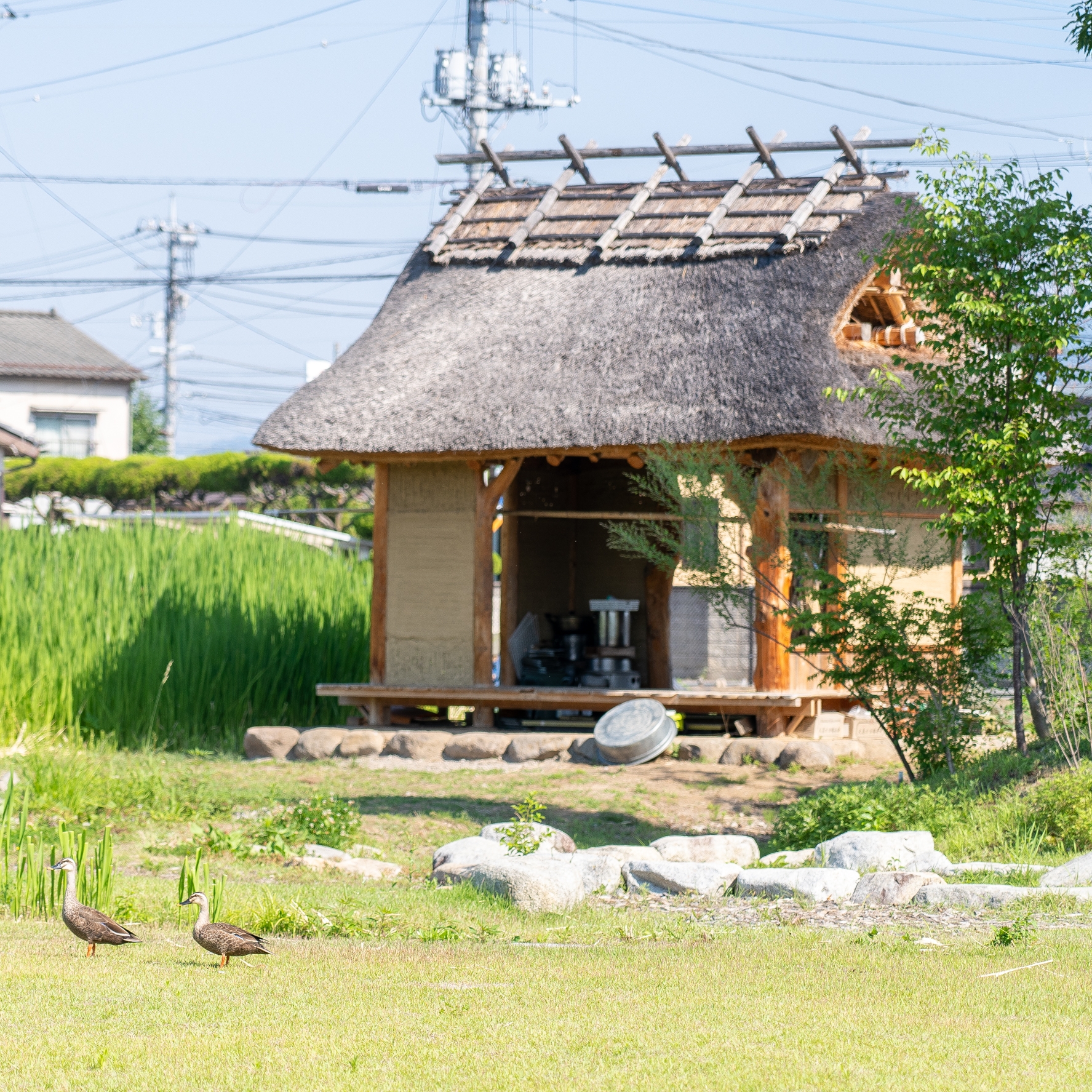 ふとまにの住処（旧：終の住処）