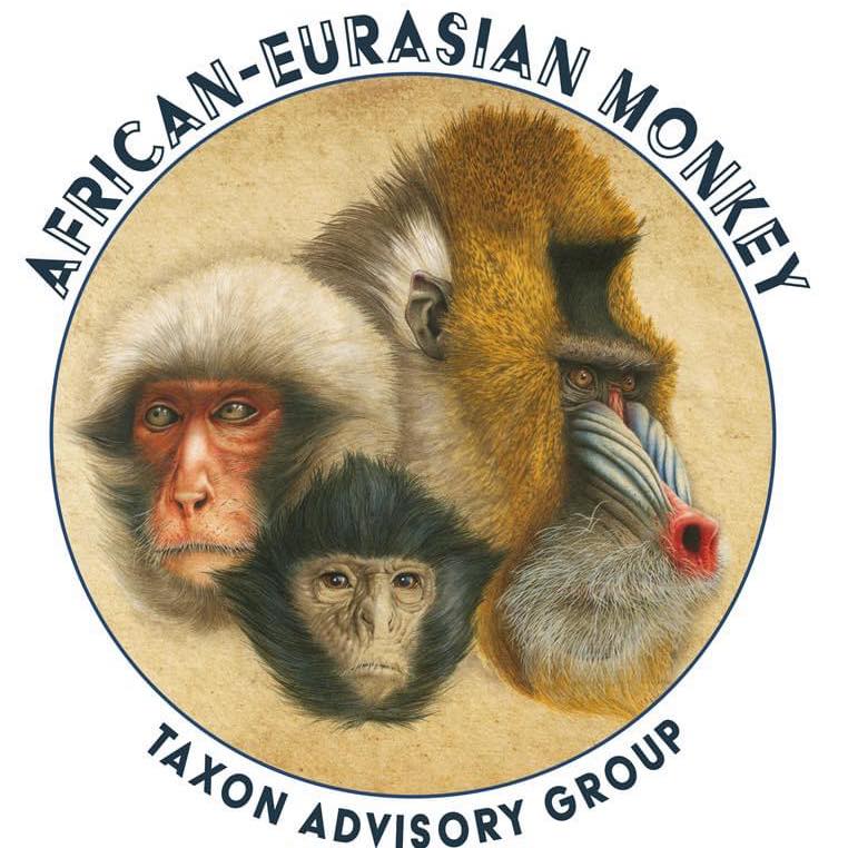 NAME CHANGE ALERT! You will... - African-Eurasian Monkey TAG | Facebook