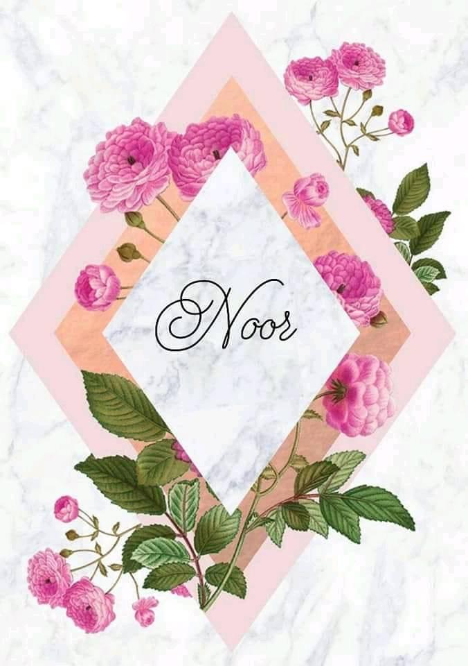 Noor's Corner | Oran