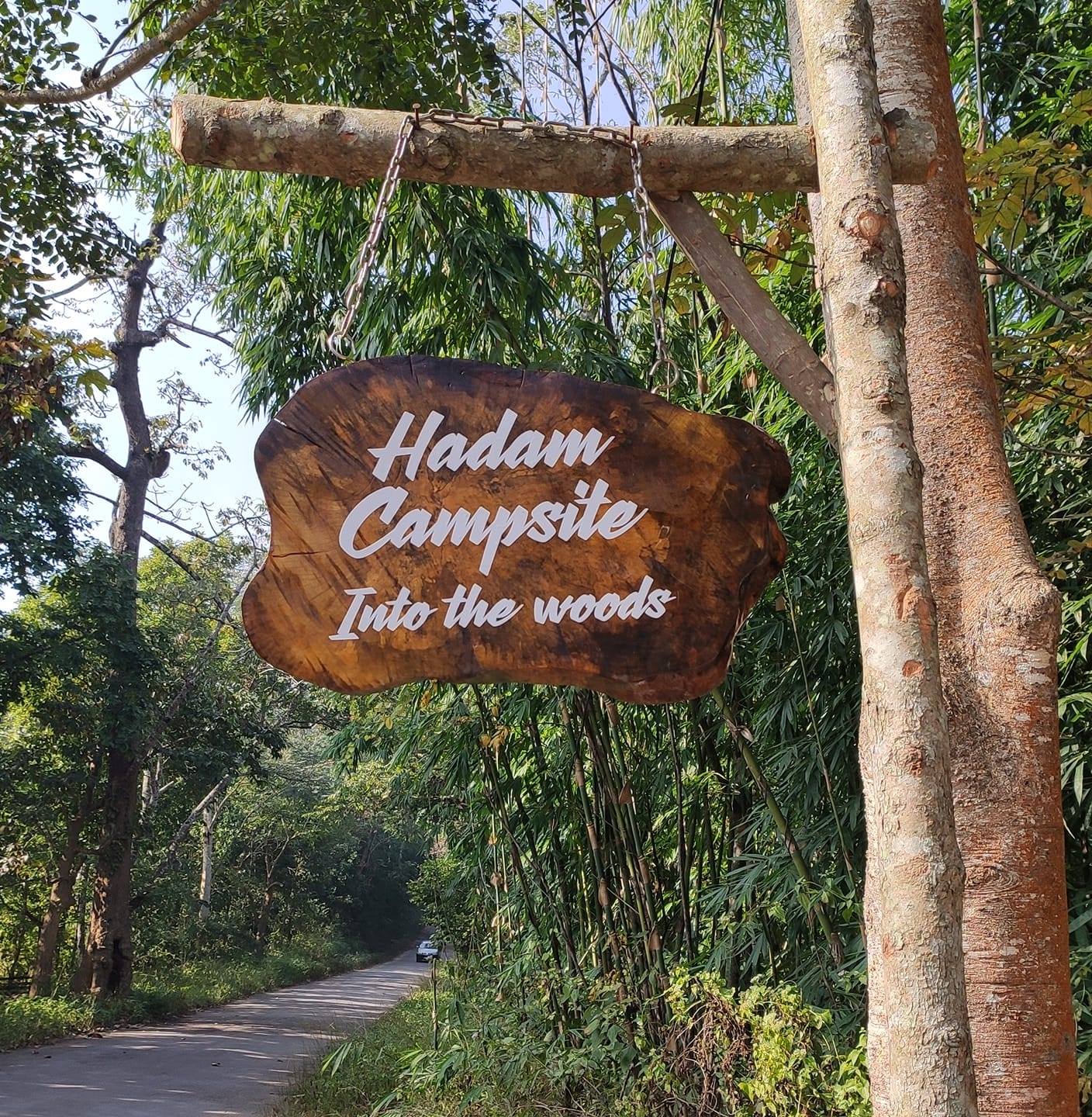 Hadam Campsite -into the woods