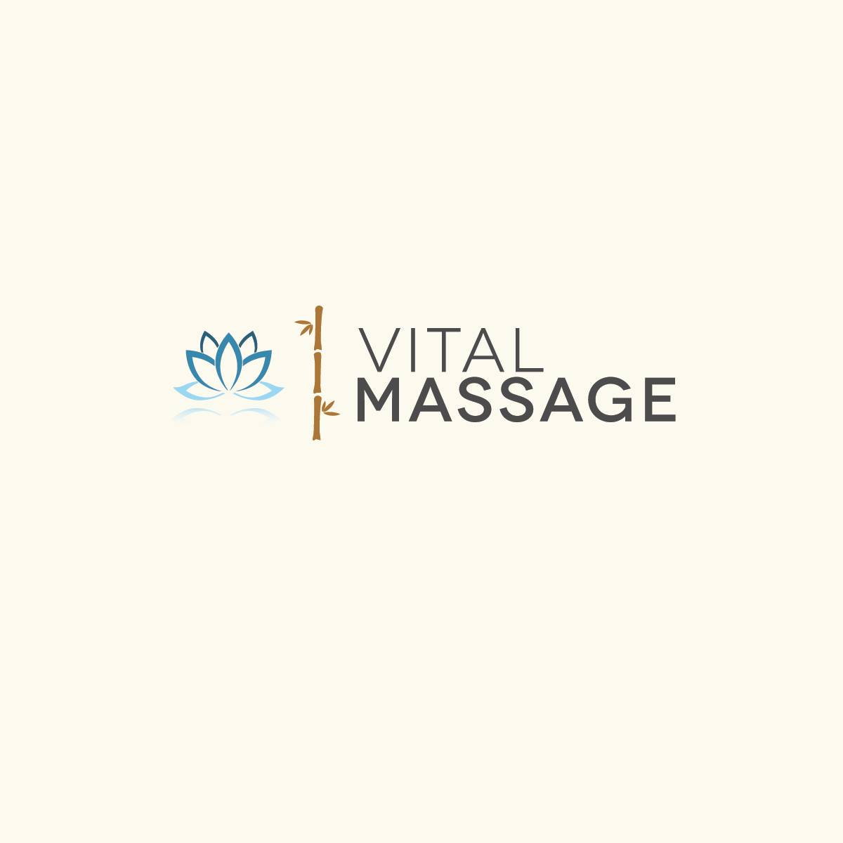 Vital Massage Green Bay WI