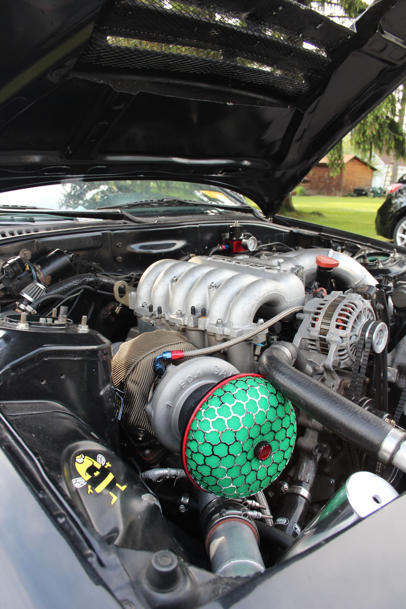 Calin Gogonea's Killer 20B