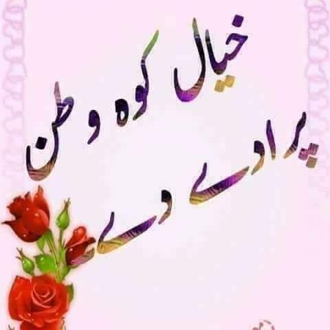 ?media_id=100067490492716