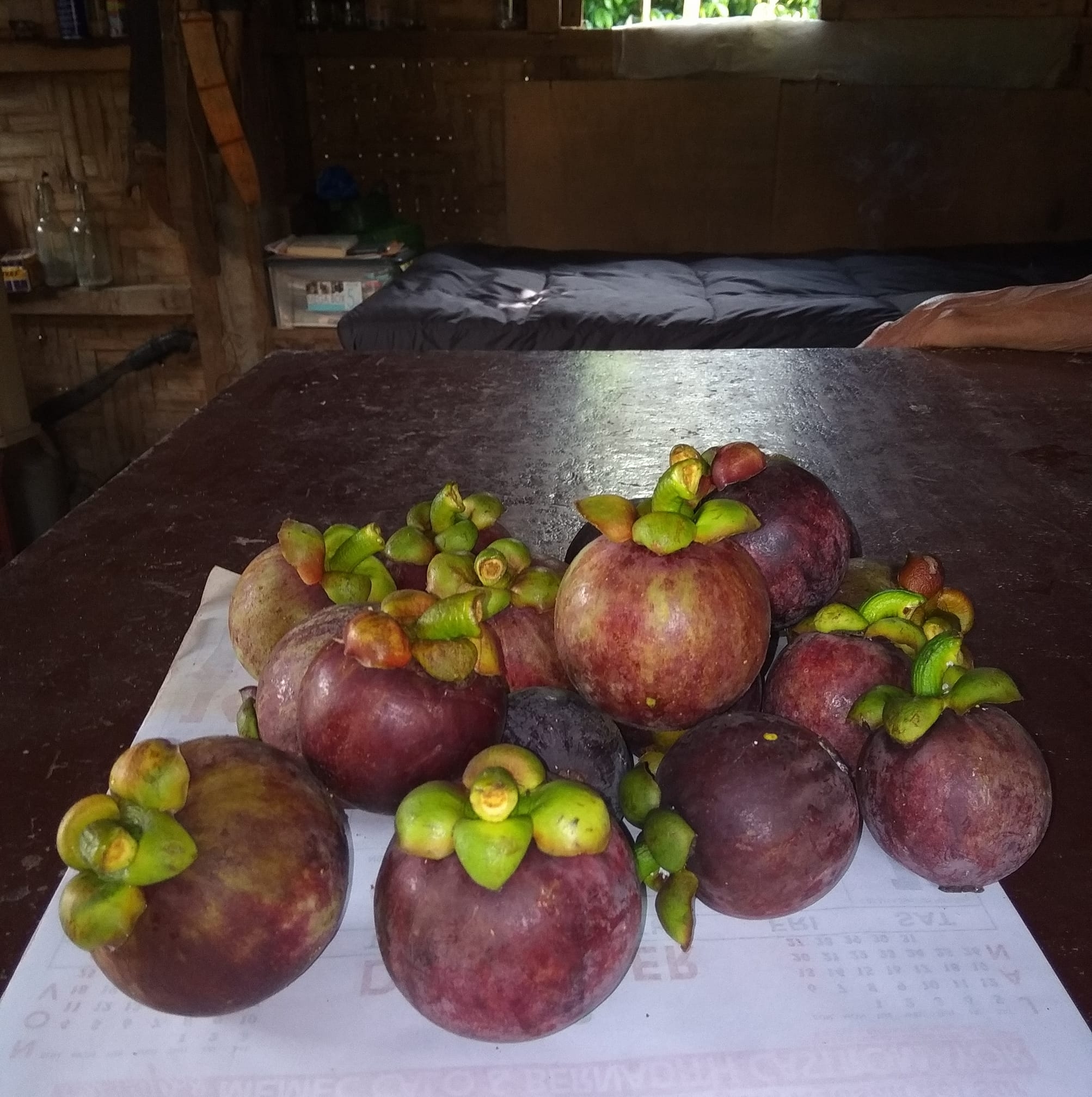 Kensoy Farm | Talacogon