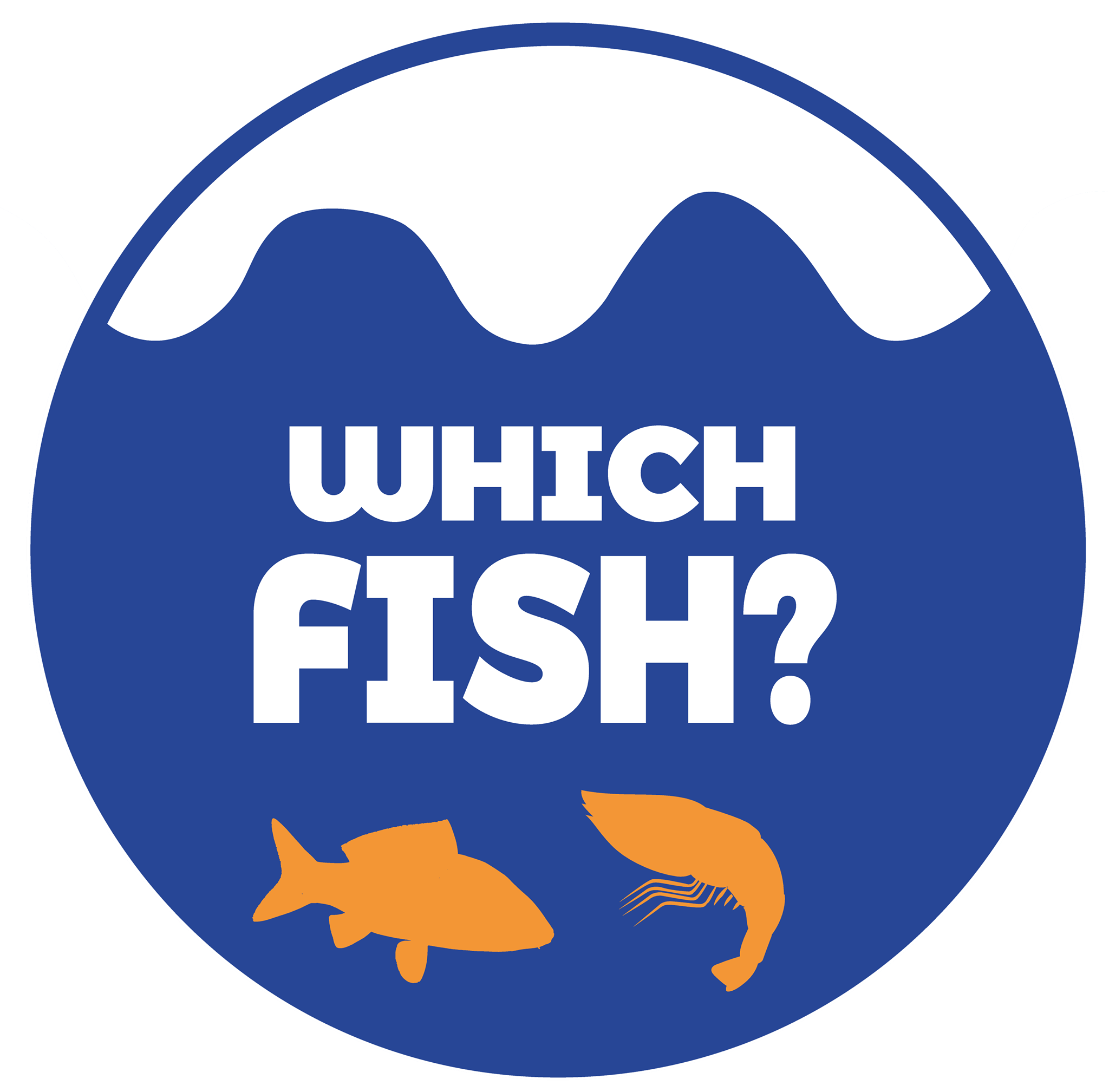 Which Fish Campaign | Amsterdam Centrum