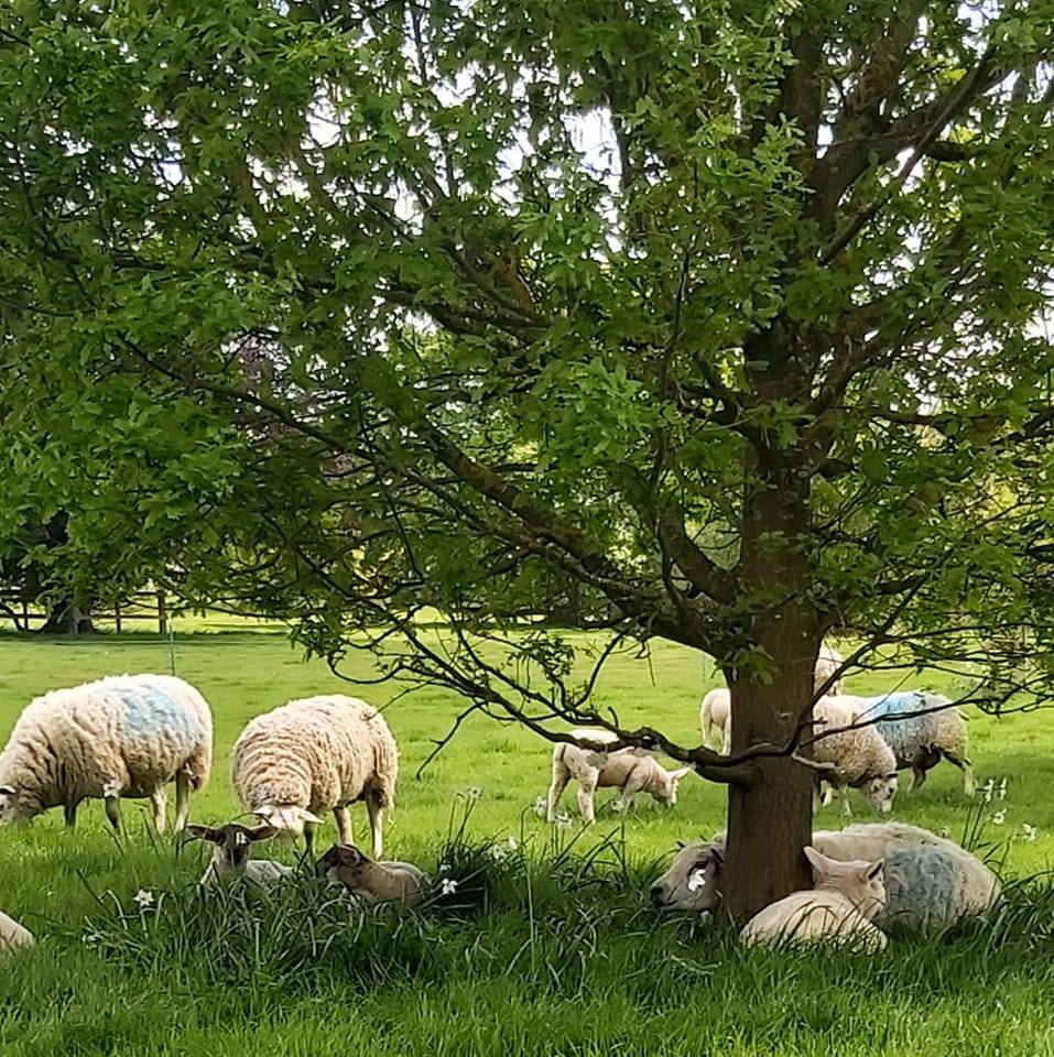 Cropwell Farm Shop | Cropwell