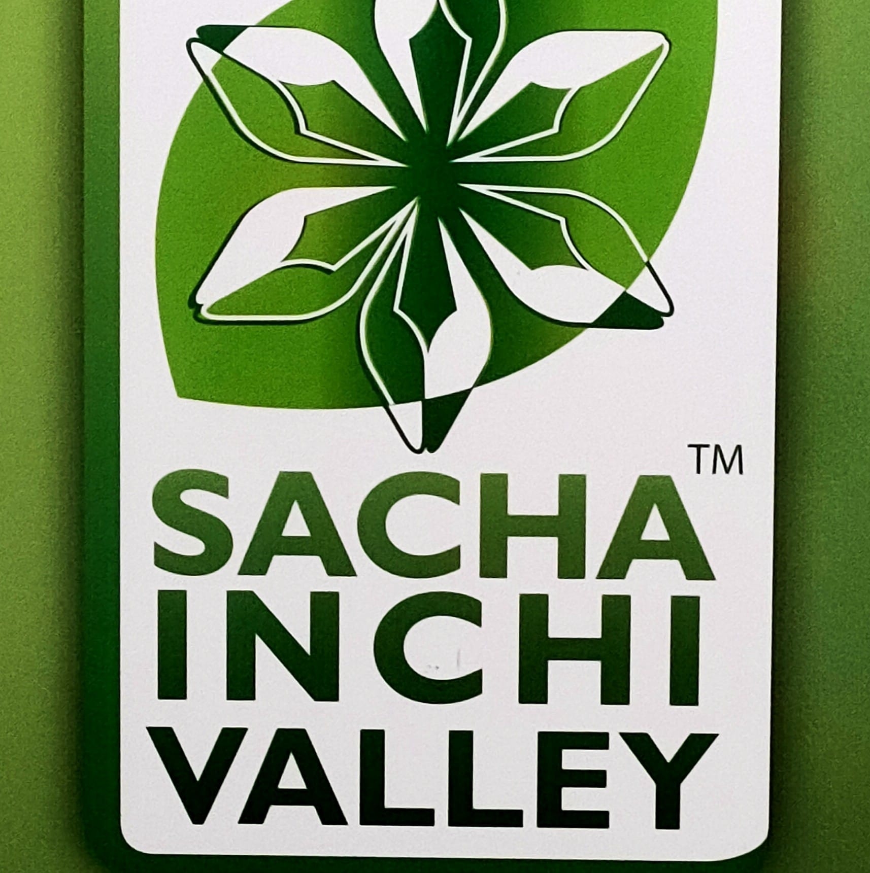 Sacha inchi