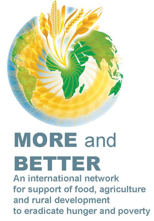More and Better Network