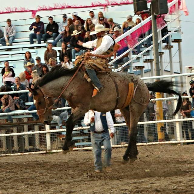Townsend Rodeo & Fair