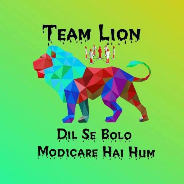 Modicare Lion Team