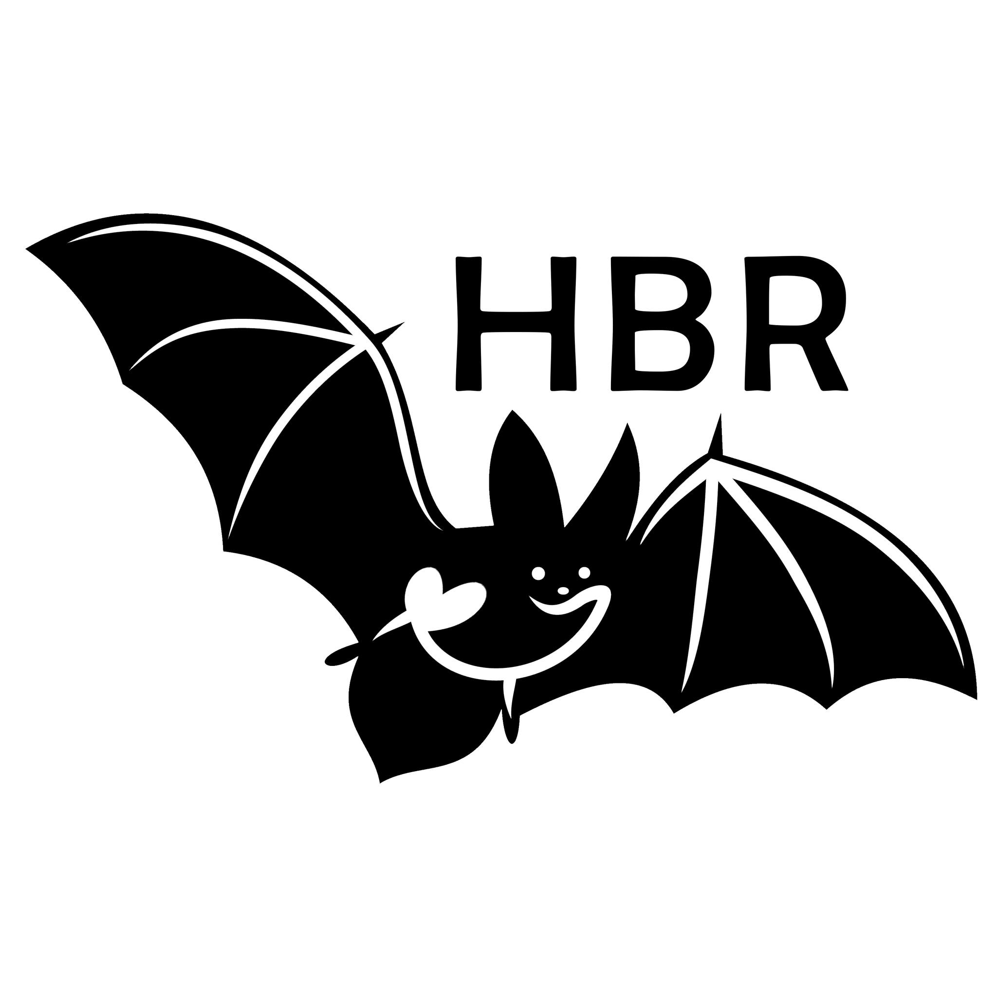 Hereford Bat Rescue - UK | Hereford
