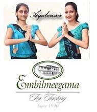 Embillmeegama Tea Factory & Tea Promotion Centre. | Kandy