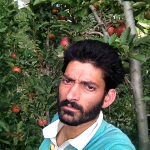 Raju | Rampur Bushahr