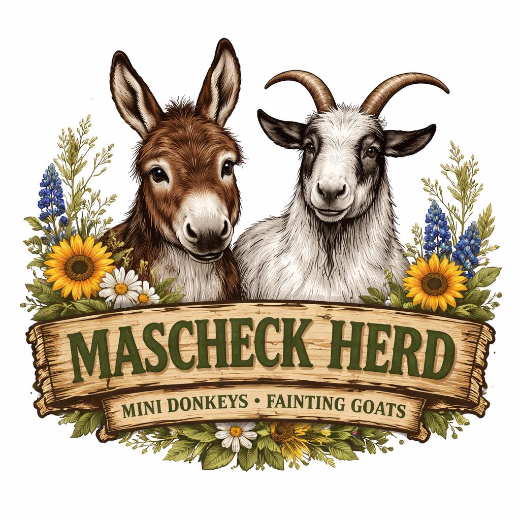 Mascheck Herd - Training Day 1 for Mr. Clyde! Only 1... | Facebook