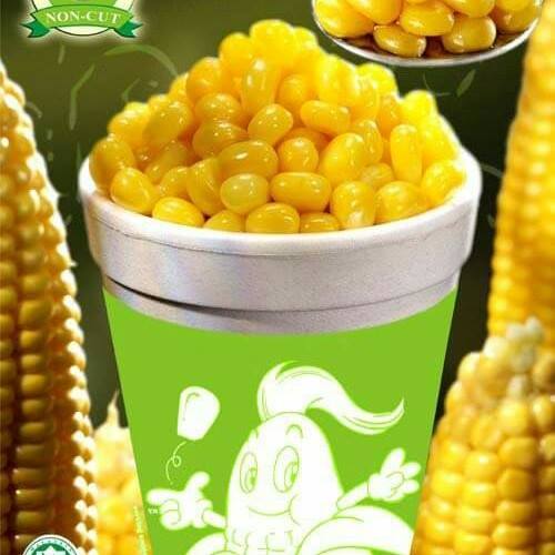 Magic corn sk/cz | Imel