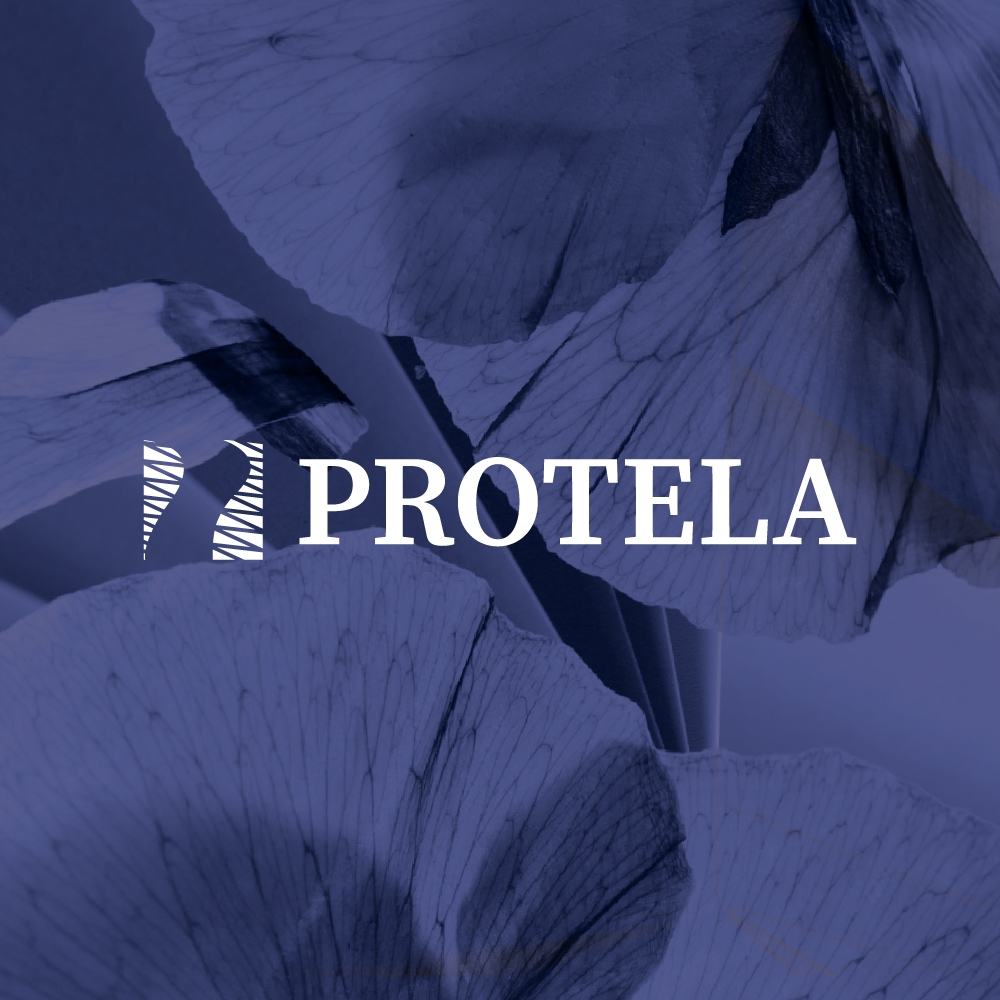 Protela Ecuador | Quito