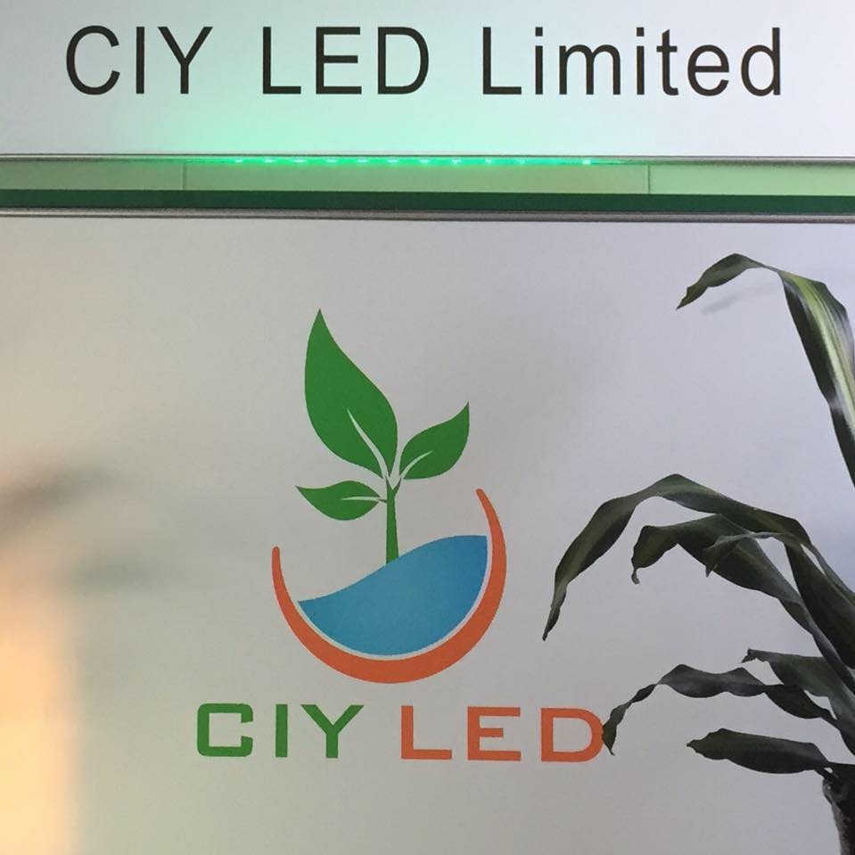 CIY LED Limited | Shenzhen